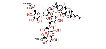 Synaptoside A1